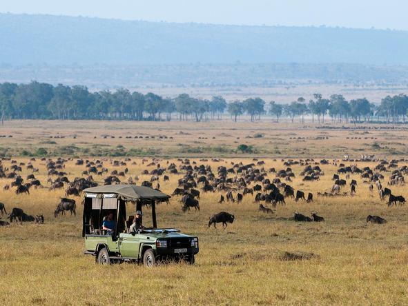 Mara Plains - game drive