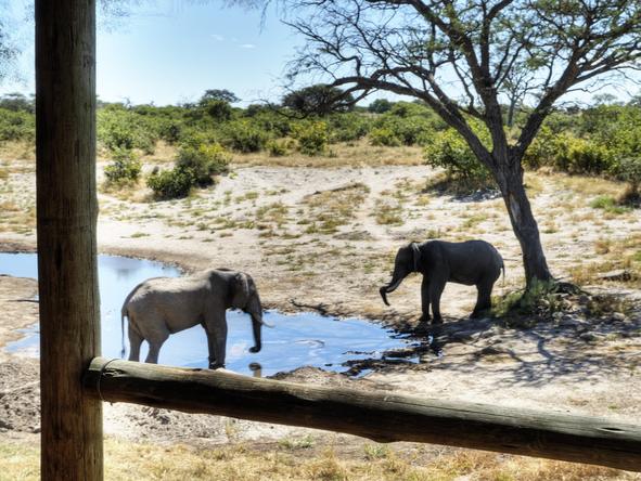 Savute Safari Lodge - deck with view of elephants