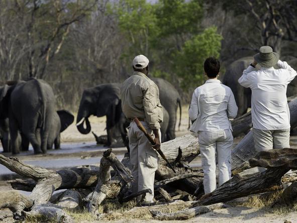 Little Makalolo - Walking Safari