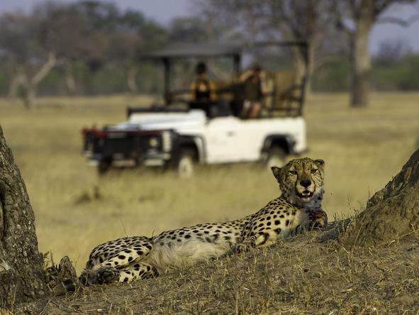 Little Makalolo - Game Drive