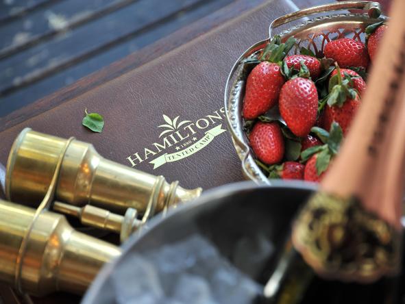 Hamiltons Tented Camp - Luxury 
