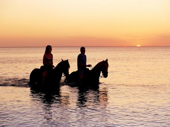 Indigo Bay Island Resort and Spa - Spend a romantic evening on a sunset horseride.