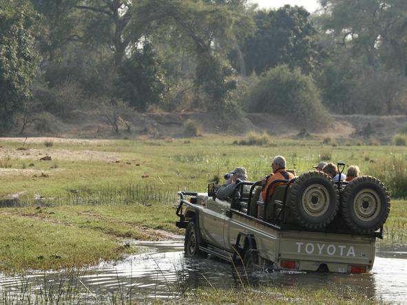 Baines' Camp - Game Drive 