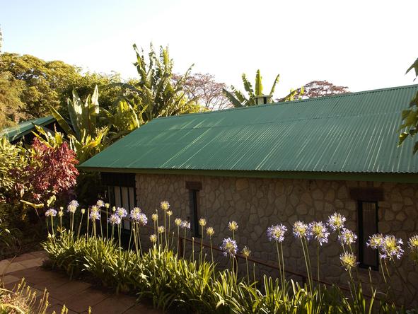 Gibbs Farm General - House 