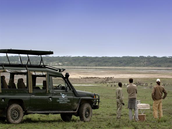 Serengeti Under Canvas - Game Drive