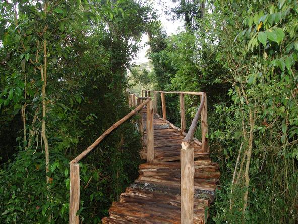 Buhoma Lodge - Walks  