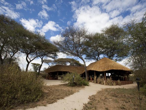 Elephant Bedroom Camp -Setting 
