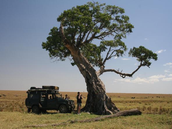 Kilima Camp - Wildlife3