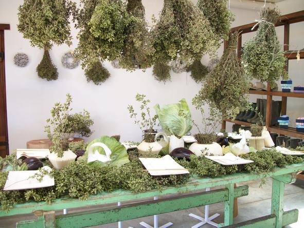 Babylonstoren - Herbs 