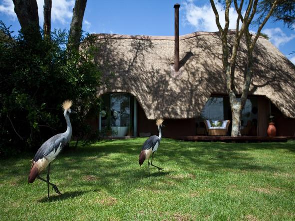 Solio Lodge - Garden 