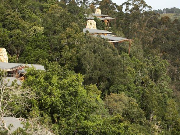 Tsala Treetop Lodge - Setting 