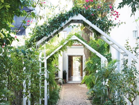 The Last Word Franschhoek - Garden 