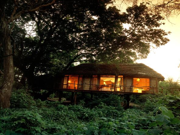 Lake Manyara Tree Lodge - Accommodation 