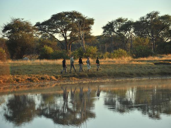 The Hide - walking safari in Hwange