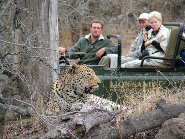 Lion Sands River Lodge - Game Drive 2 