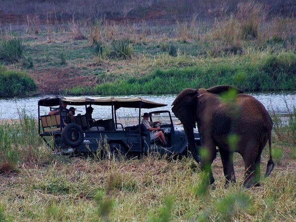 White Elephant Game Lodge - Game Drive