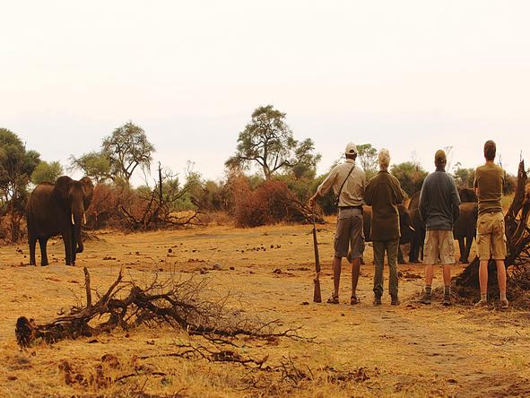 Kanga Bush Camp - Activities