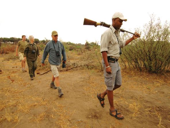 Somalisa Camp - Walking Safari 