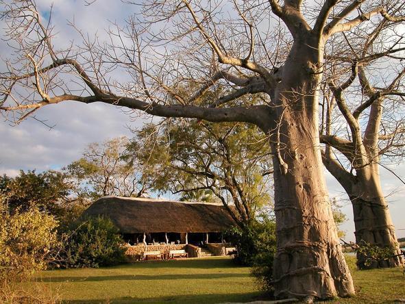 Mvuu Camp - Surrounding 