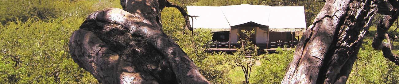 Serengeti Migration Camp