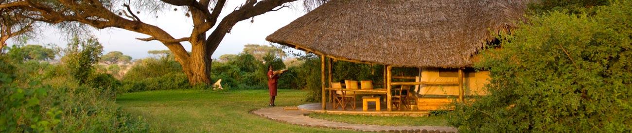 Tortilis Camp