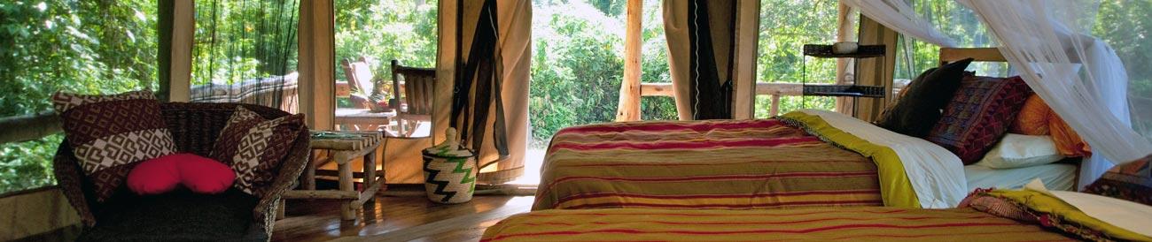 Primate Lodge - Kibale