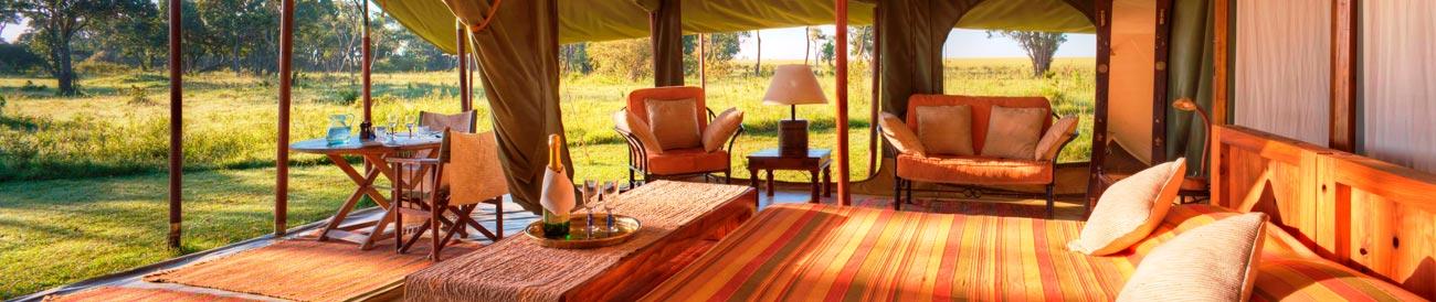 Elephant Pepper Camp