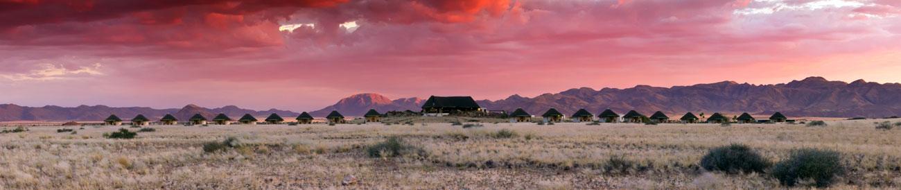 The Desert Homestead