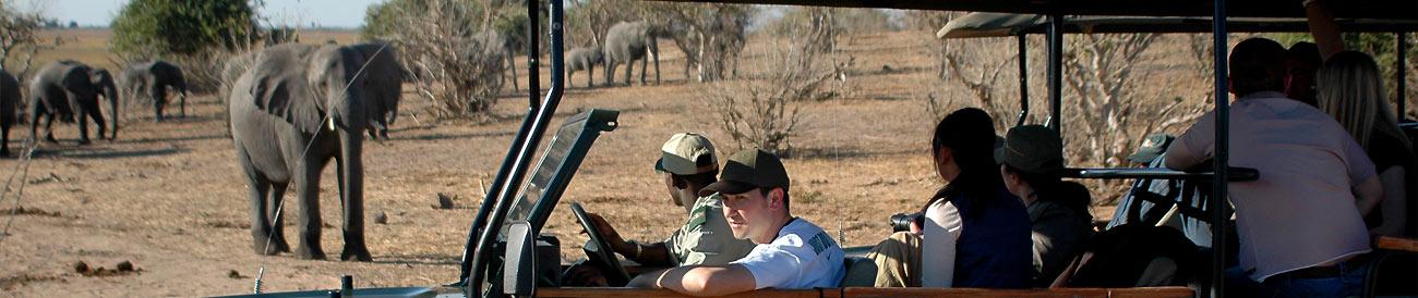 Chobe & Savute Luxury Mobile Safari
