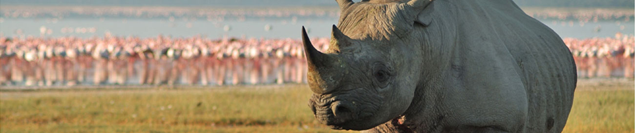 Best of Kenya & Tanzania Safari