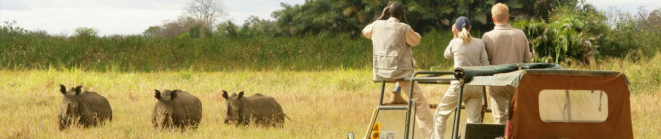 Adamson's Footsteps Kenya Explorer