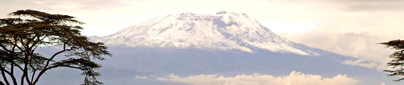 Kilimanjaro - the highest mountain in Africa lends an impressive backdrop to a safari in nearby Amboseli National Park.