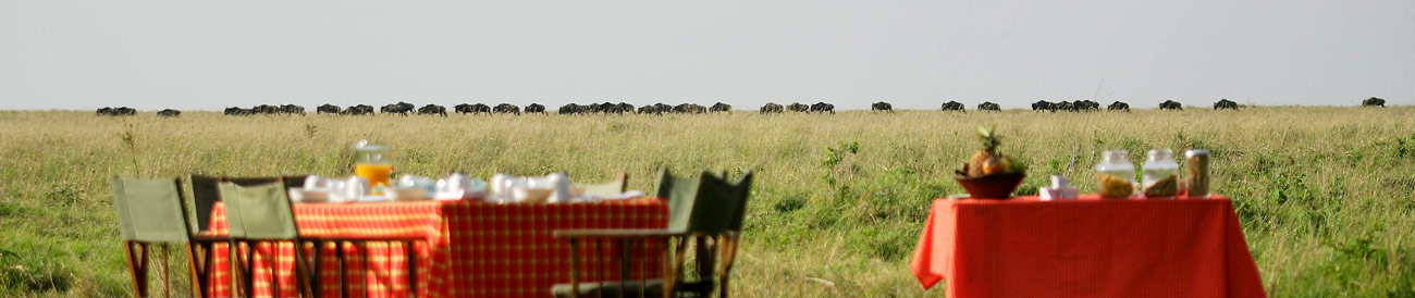 Scenic Kenya Safari Explorer