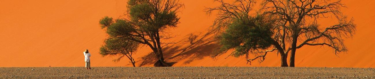 Solo Travel - Africa can easily be discovered on your own; join a scheduled tour departure or group safari and start exploring!