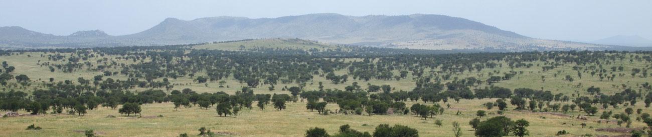 Scenic Serengeti, Selous & Spice Adventure