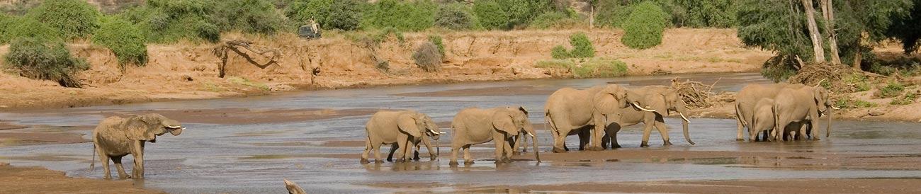 Kenya Intrepid Family Sojourn
