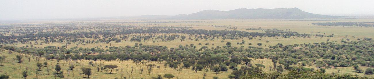 Affordable Kenya Flying Safari