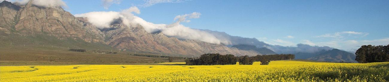 Cape Explorer Eco Holiday