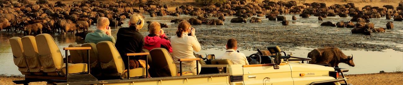 Ultimate Kruger Park Family Safari