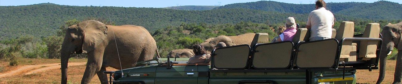 Splendid Garden Route Self-Drive
