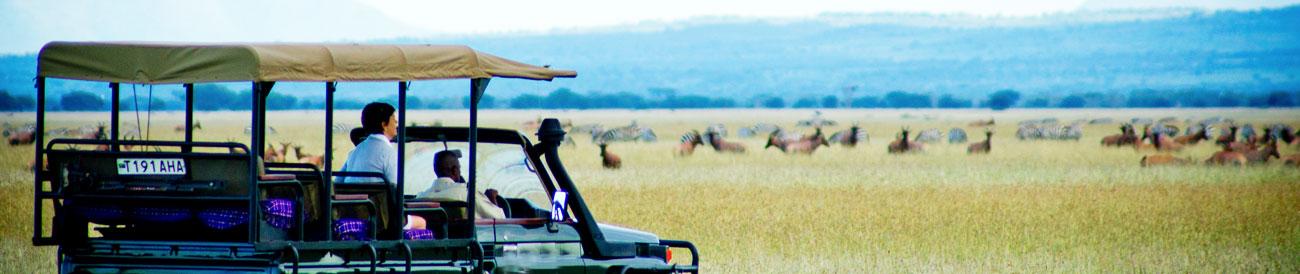 Tanzania - from the wide open plains of the Serengeti to the wildlife-packed Ngorongoro Crater and exotic Zanzibar, there's so much to see and experience.