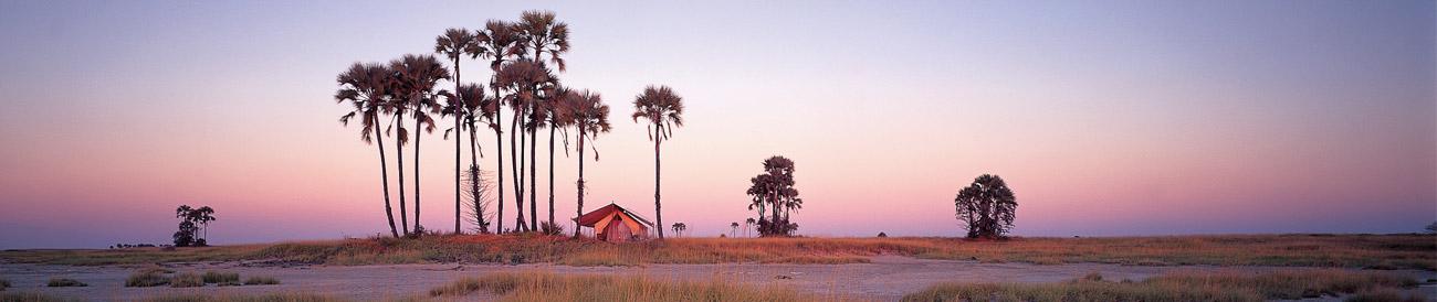 Kalahari - this vast wilderness is a popular destination for safari adventurers and has far more wildlife than you think.