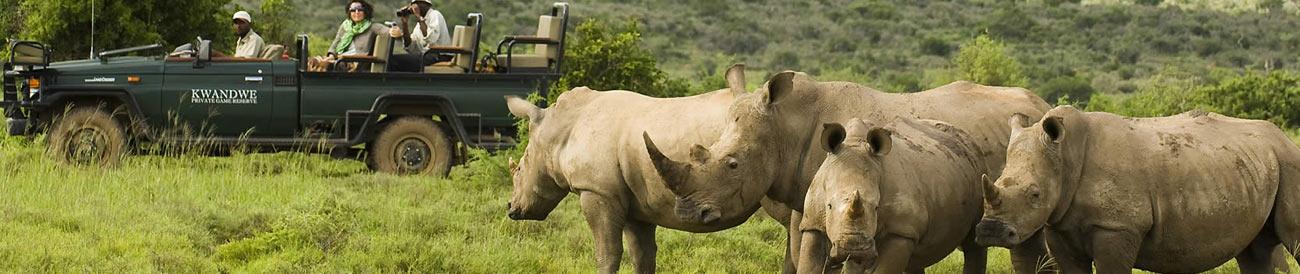 Eastern Cape Frontier Safari