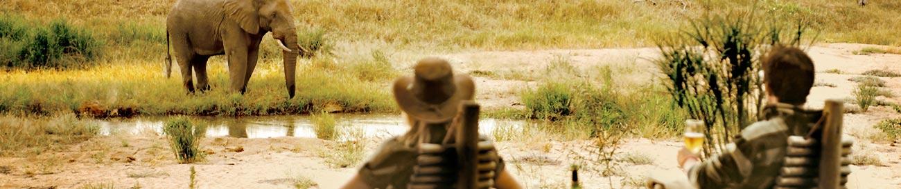 Cape To Kruger for Wine & Art Connoisseurs