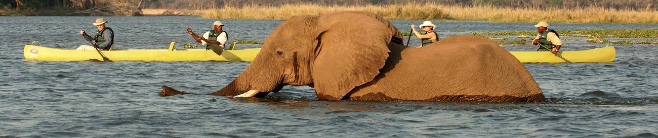 Zambia - home to mighty Victoria Falls, Zambia is also known for walking safaris and incredible African landscapes.