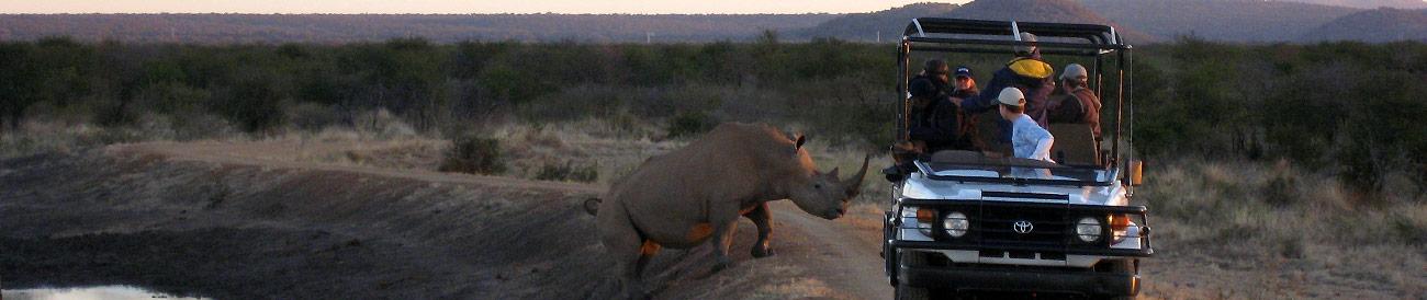 Cape Town and Madikwe for the Family