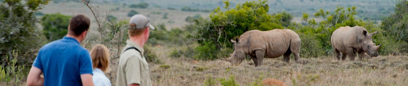 Winelands, Garden Route & Safari Family Holiday