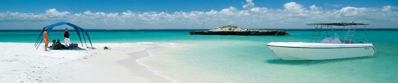 South Africa Wildlife & Bazaruto Island Explorer