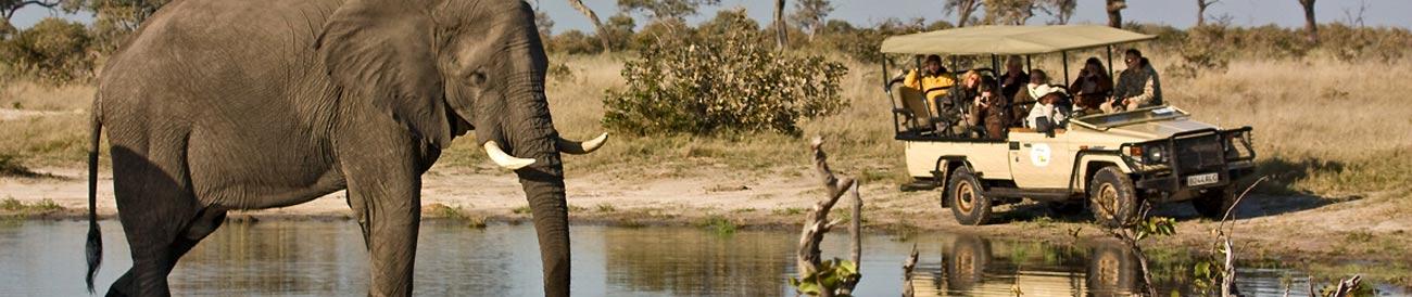 Luxury South Africa by Rail & Botswana Safari