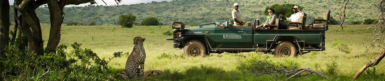 Magnificent Eastern Cape Safari